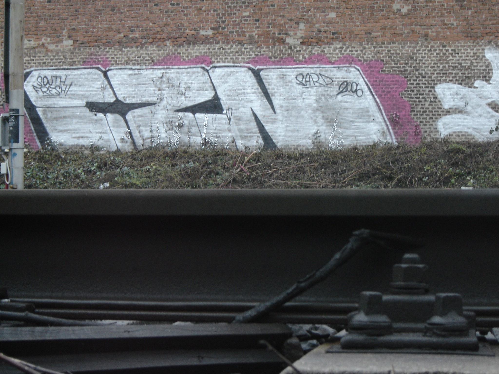 SARDAMAN: BLOCCO SOUTHFRESH